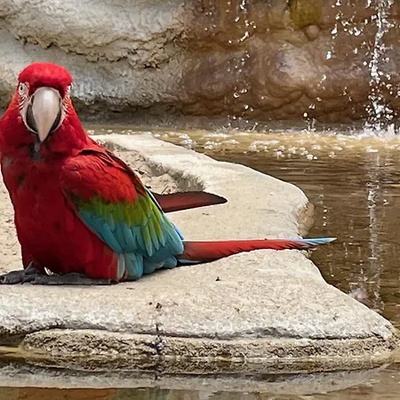 Mobile Cc780 Siblu Les Charmettes Close To The Sea Hotell 3*