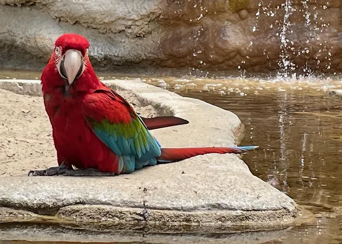 Mobile Cc780 Siblu Les Charmettes Close To The Sea Hotell 3*