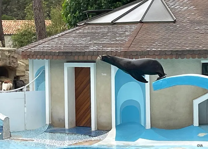 Mobile Cc780 Siblu Les Charmettes Close To The Sea